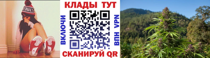 Сколько стоит Будённовск КЕТАМИН  OMG ONION  Псилоцибиновые грибы  Конопля  МЕФ  ГАШИШ  А ПВП 