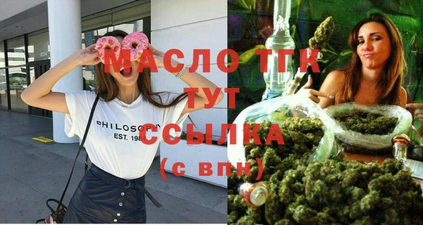 гидра Верхний Тагил