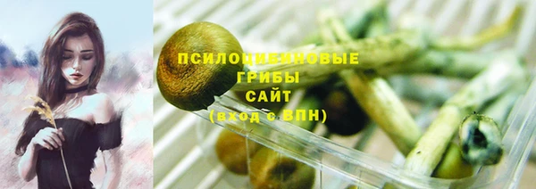 бутират Бородино