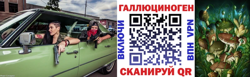 дарнет шоп  блэк спрут онион  Галлюциногенные грибы прущие грибы  Будённовск 